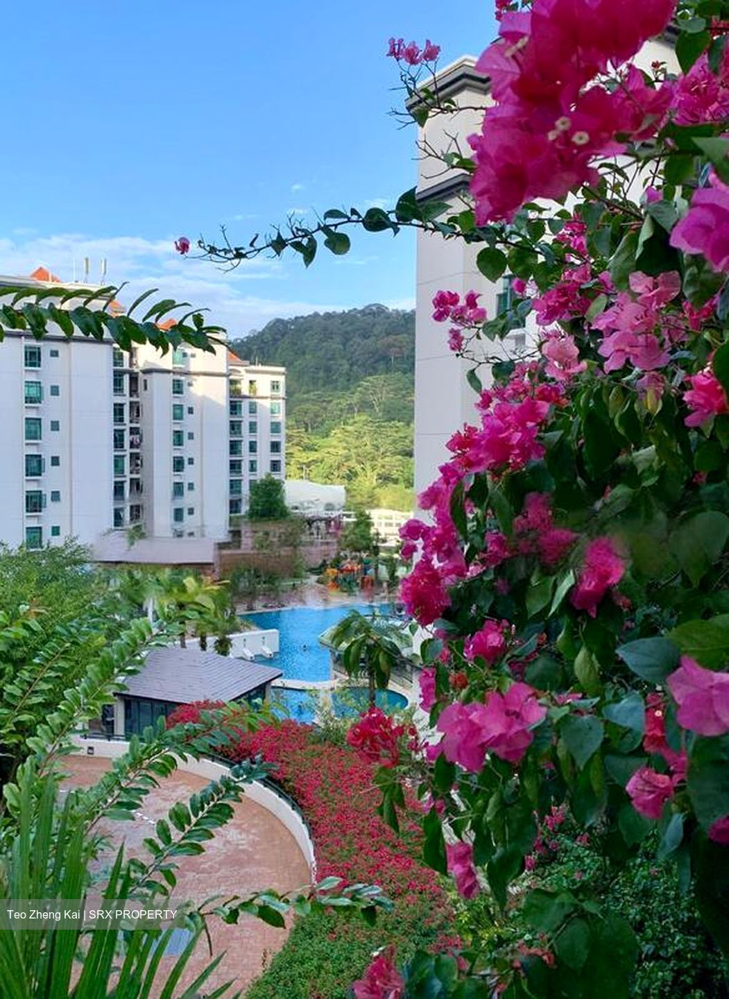 The Hillside (D21), Condominium #591518551